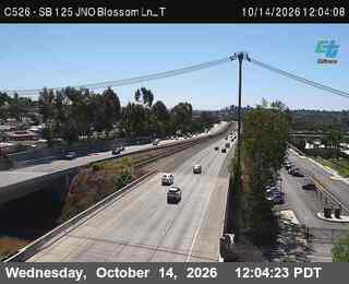 SR-125 at Just north of SB Blossom Ln - T