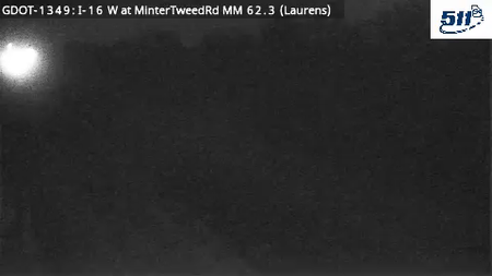 I-16 at Minter Tweed Rd