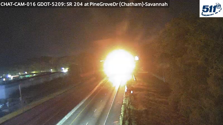 SR-204 at Pine Grove Dr