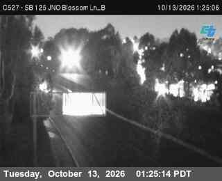 SR-125 at Just north of SB Blossom Ln - B